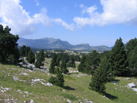 Picture : The plateau of Vercors
