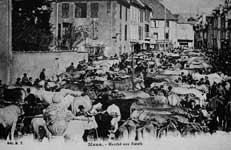 Picture : Market with oxen